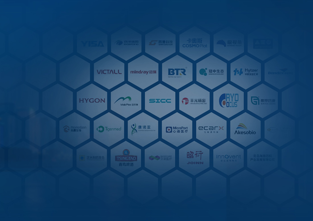 资本运营与产融服务